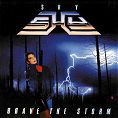 Brave the Storm