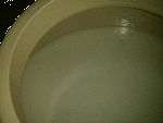 1998120802.GIF (11100 oCg)