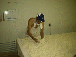 1998121201.GIF (13515 oCg)