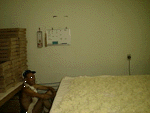 1998121202.GIF (12960 oCg)