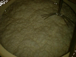 1998121602.GIF (12141 oCg)