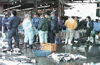 [Image :ehime16.gif]