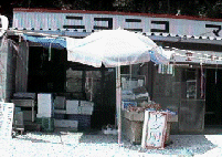 [Image :ehime19.gif]